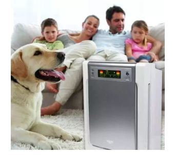 best air purifier for pet odor