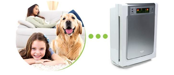 Best air purifiers for pets