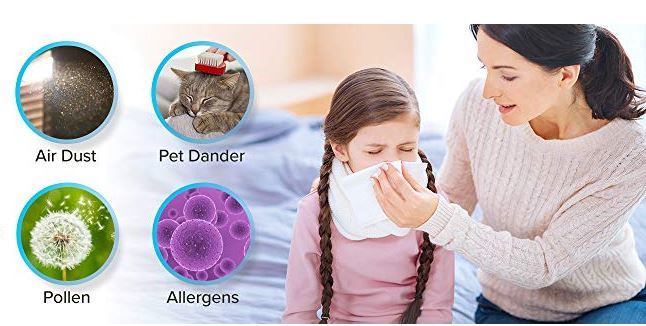 best air purifier for pet hair and dust