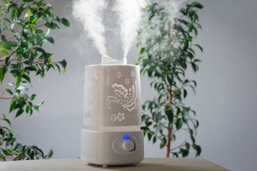 best filter free humidifier