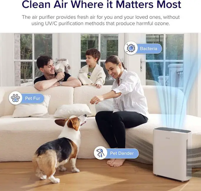 air purifier washable filter